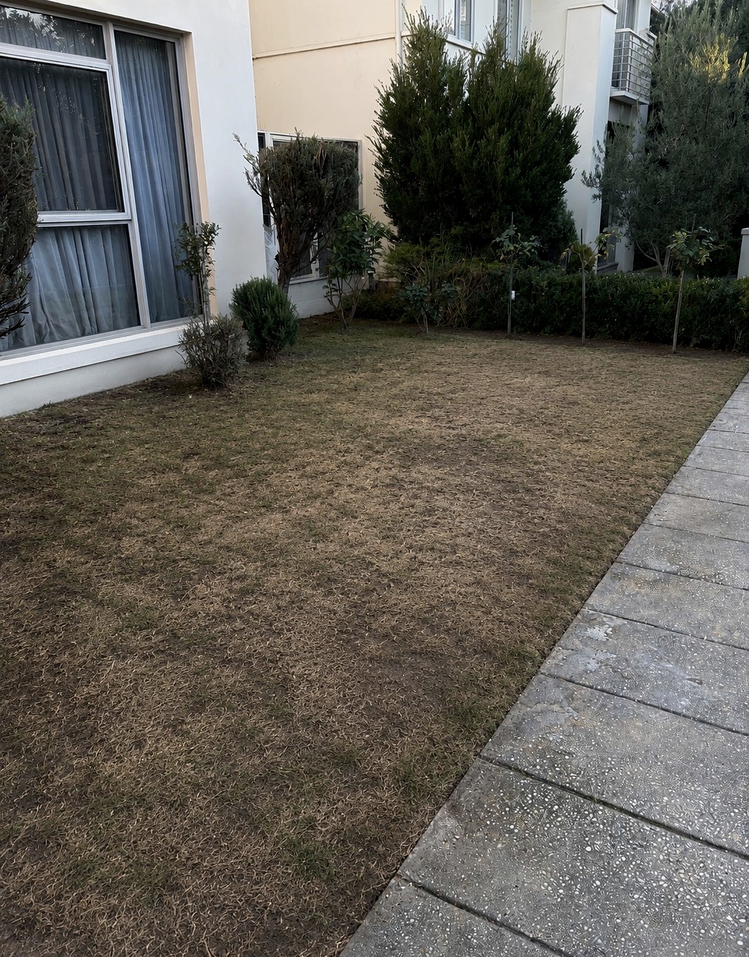 Garden before